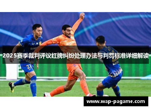 2025赛季裁判评议红牌纠纷处理办法与判罚标准详细解读