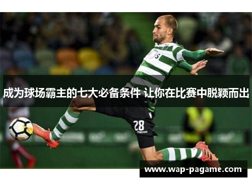 成为球场霸主的七大必备条件 让你在比赛中脱颖而出