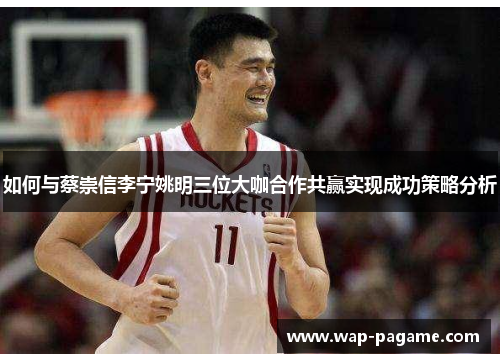 如何与蔡崇信李宁姚明三位大咖合作共赢实现成功策略分析