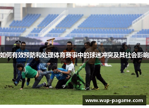 如何有效预防和处理体育赛事中的球迷冲突及其社会影响
