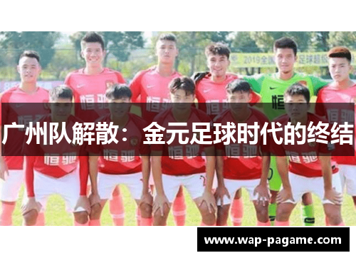 广州队解散：金元足球时代的终结