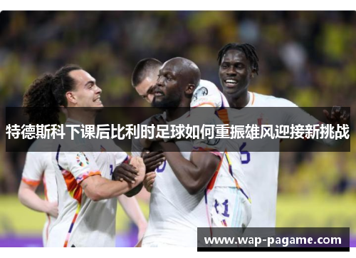 特德斯科下课后比利时足球如何重振雄风迎接新挑战