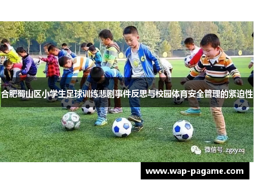 合肥蜀山区小学生足球训练悲剧事件反思与校园体育安全管理的紧迫性