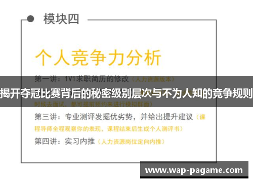 揭开夺冠比赛背后的秘密级别层次与不为人知的竞争规则