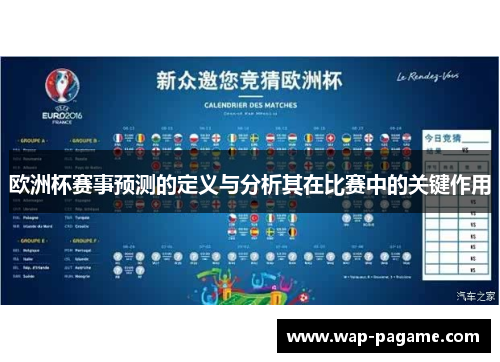 欧洲杯赛事预测的定义与分析其在比赛中的关键作用