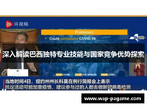 深入解读巴西独特专业技能与国家竞争优势探索