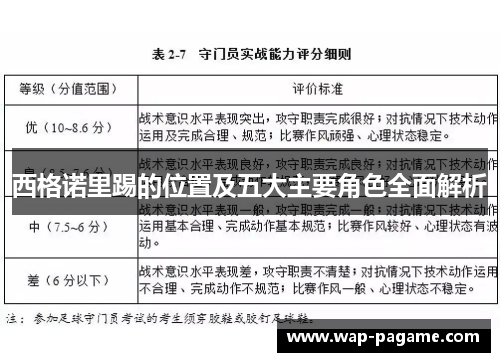 西格诺里踢的位置及五大主要角色全面解析