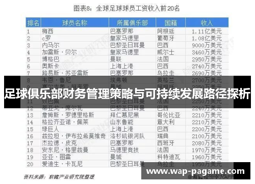 足球俱乐部财务管理策略与可持续发展路径探析