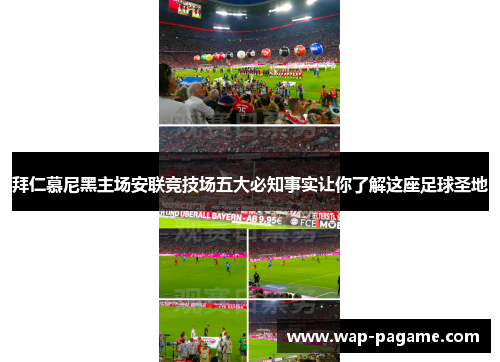 拜仁慕尼黑主场安联竞技场五大必知事实让你了解这座足球圣地 拜仁慕尼黑主场安联竞技场五大必知事实让你了解这座足球圣地