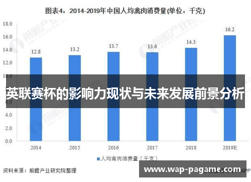英联赛杯的影响力现状与未来发展前景分析 英联赛杯的影响力现状与未来发展前景分析