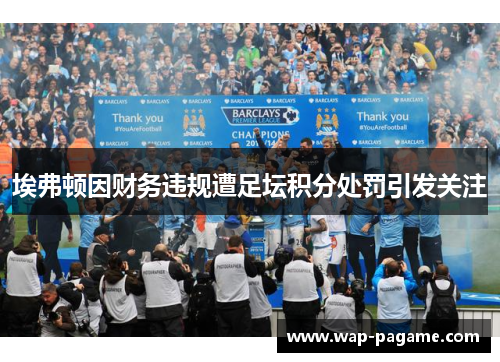 埃弗顿因财务违规遭足坛积分处罚引发关注 埃弗顿因财务违规遭足坛积分处罚引发关注
