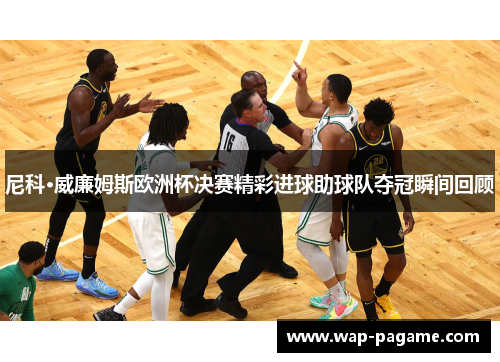 尼科·威廉姆斯欧洲杯决赛精彩进球助球队夺冠瞬间回顾 尼科·威廉姆斯欧洲杯决赛精彩进球助球队夺冠瞬间回顾